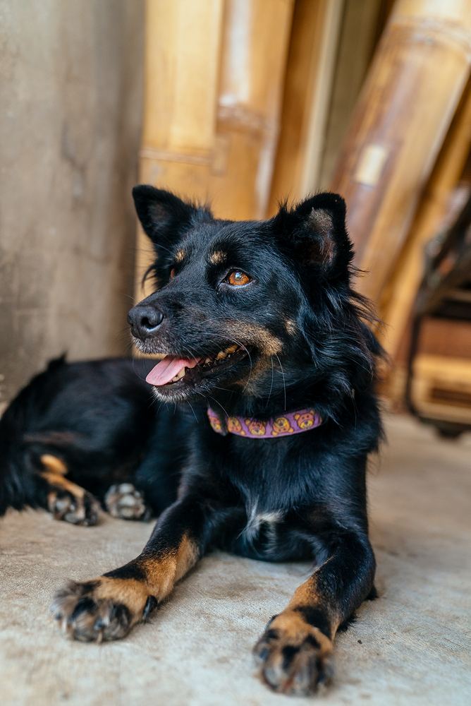 Kiki